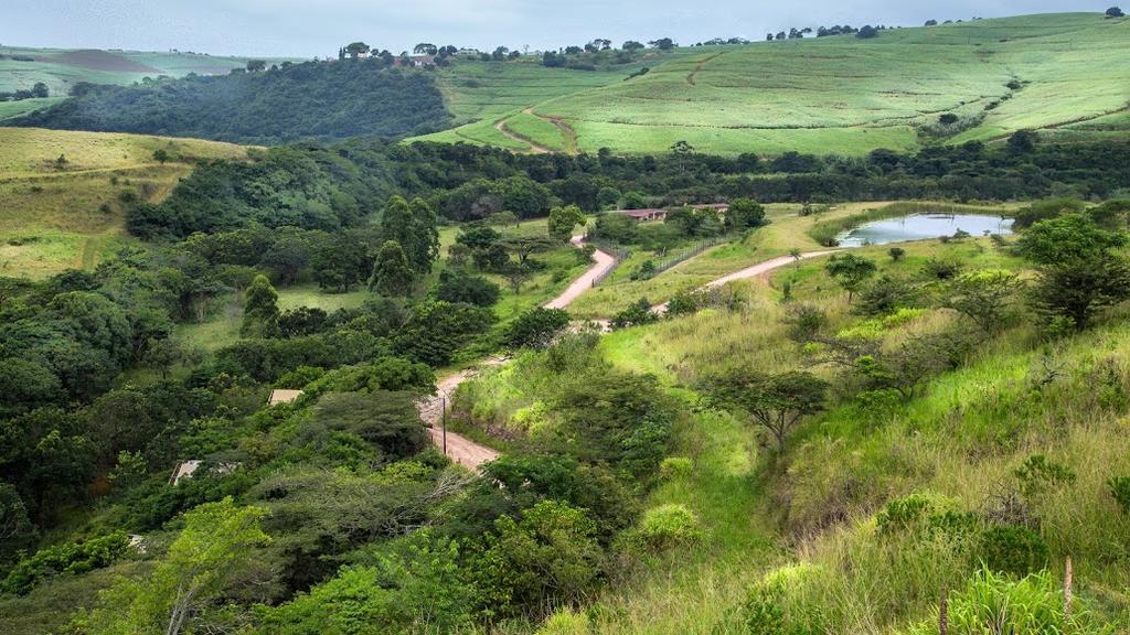 Rain Farm Game Lodge uMhlali Buitenkant foto